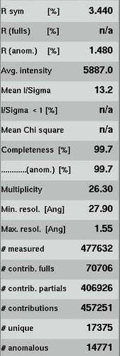 Scale Results